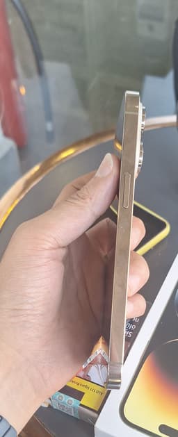 iPhone 14 Pro Max